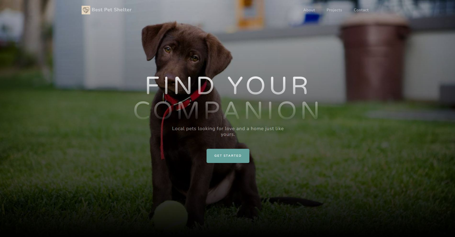 Best Pet Shelter Screenshot